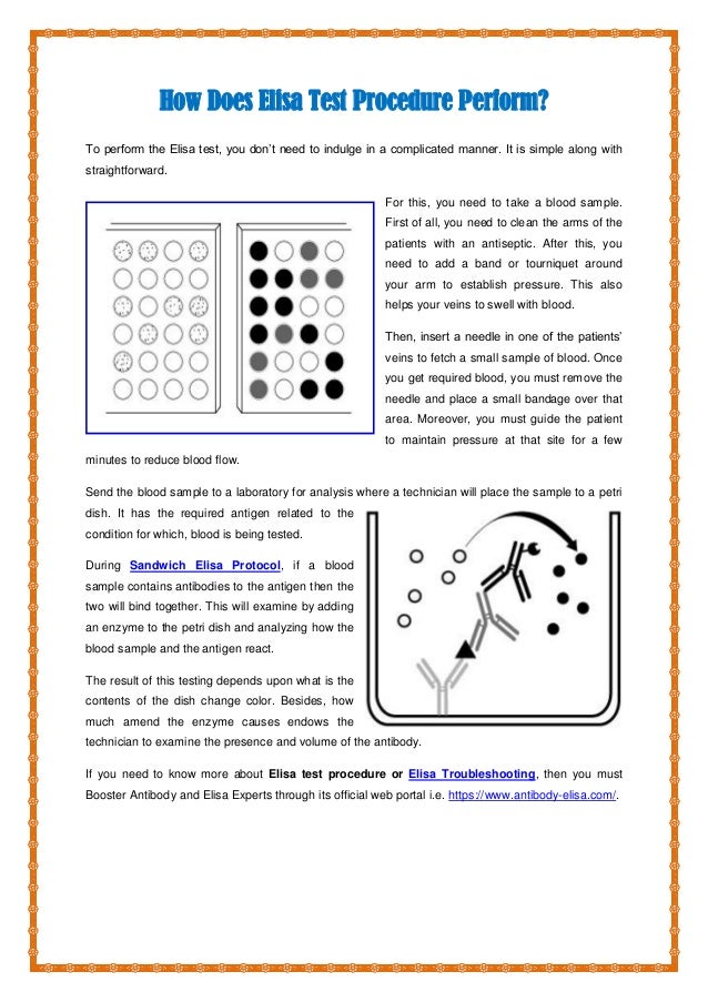 What Is The ELISA Test And Its Procedure?