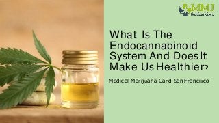 What Is The
Endocannabinoid
System And Does It
Make Us Healthier?
Medical Marijuana Card San Francisco
 