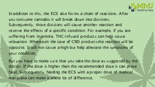 In addition to this, the ECS also forms a chain of reactions. After
you consume cannabis it will break down into divisions...
