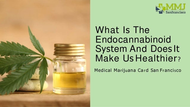 What Is The
Endocannabinoid
System And Does It
Make Us Healthier?
Medical Marijuana Card San Francisco
 