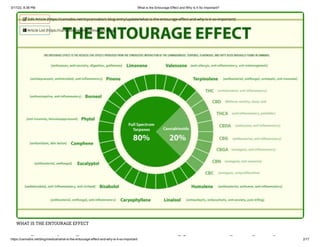 3/17/22, 8:38 PM What is the Entourage Effect and Why is It So Important?
https://cannabis.net/blog/medical/what-is-the-entourage-effect-and-why-is-it-so-important 2/17
WHAT IS THE ENTOURAGE EFFECT
h i h ff d h i
 Edit Article (https://cannabis.net/mycannabis/c-blog-entry/update/what-is-the-entourage-effect-and-why-is-it-so-important)
 Article List (https://cannabis.net/mycannabis/c-blog)
 