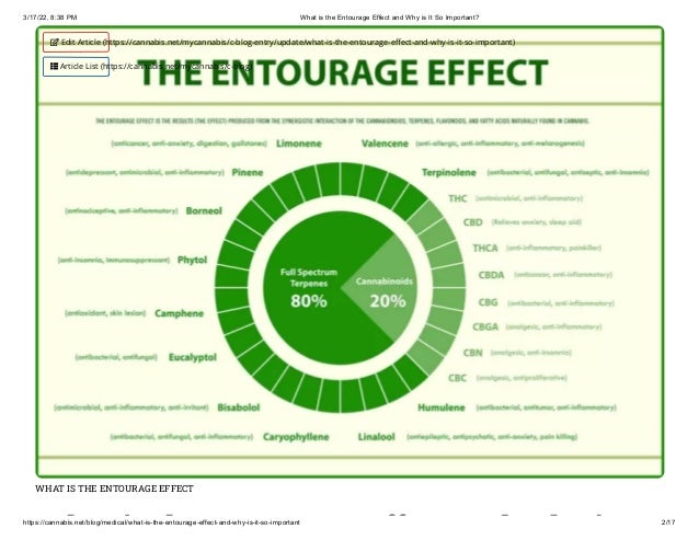 3/17/22, 8:38 PM What is the Entourage Effect and Why is It So Important?
https://cannabis.net/blog/medical/what-is-the-entourage-effect-and-why-is-it-so-important 2/17
WHAT IS THE ENTOURAGE EFFECT
h i h ff d h i
 Edit Article (https://cannabis.net/mycannabis/c-blog-entry/update/what-is-the-entourage-effect-and-why-is-it-so-important)
 Article List (https://cannabis.net/mycannabis/c-blog)
 