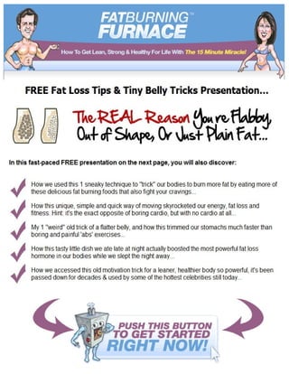 What is the fat burning furnace diet