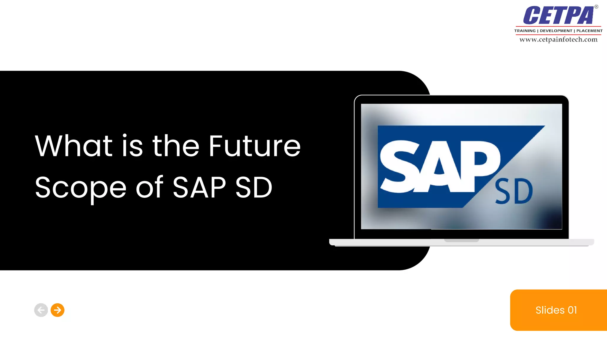 What is the Future
Scope of SAP SD
Slides 01
 