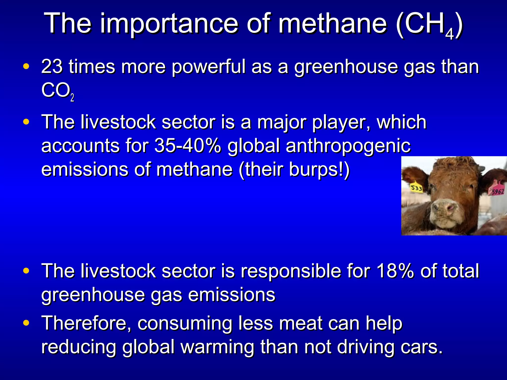The importance of methane (CHThe importance of methane (CH44))
• 23 times more powerful as a greenhouse gas than23 times more powerful as a greenhouse gas than
COCO22
• The livestock sector is a major player, whichThe livestock sector is a major player, which
accounts for 35-40% global anthropogenicaccounts for 35-40% global anthropogenic
emissions of methane (their burps!)emissions of methane (their burps!)
• The livestock sector is responsible for 18% of totalThe livestock sector is responsible for 18% of total
greenhouse gas emissionsgreenhouse gas emissions
• Therefore, consuming less meat can helpTherefore, consuming less meat can help
reducing global warming than not driving cars.reducing global warming than not driving cars.
 