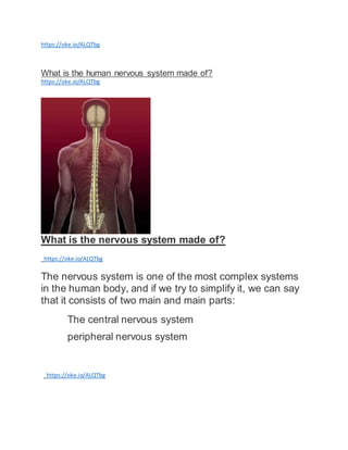 https://oke.io/ALQTbg
What is the human nervous system made of?
https://oke.io/ALQTbg
What is the nervous system made of?
https://oke.io/ALQTbg
The nervous system is one of the most complex systems
in the human body, and if we try to simplify it, we can say
that it consists of two main and main parts:
The central nervous system
peripheral nervous system
https://oke.io/ALQTbg
 