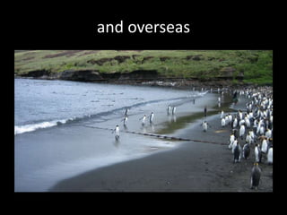 and overseas
 