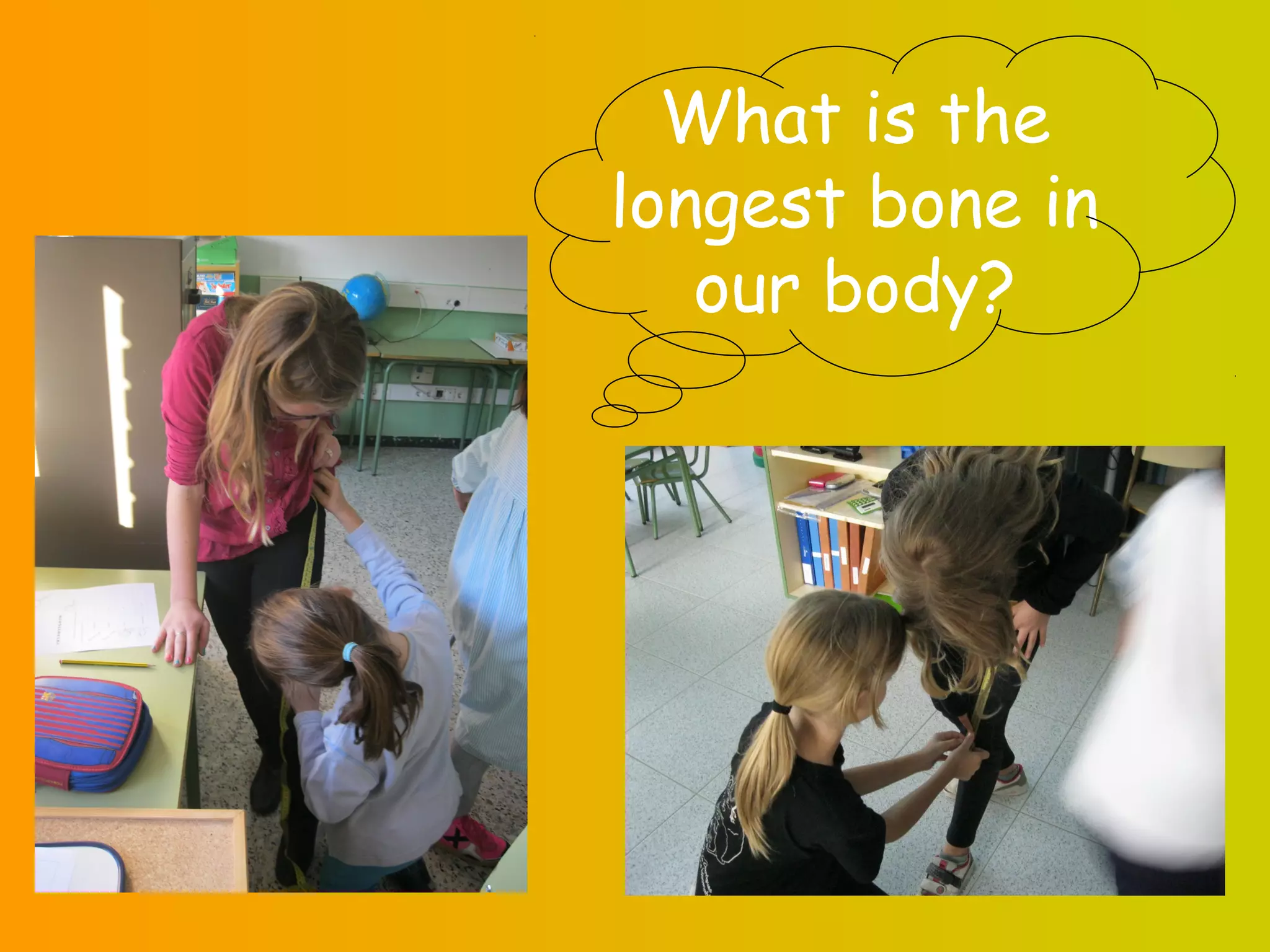What is the
longest bone in
our body?