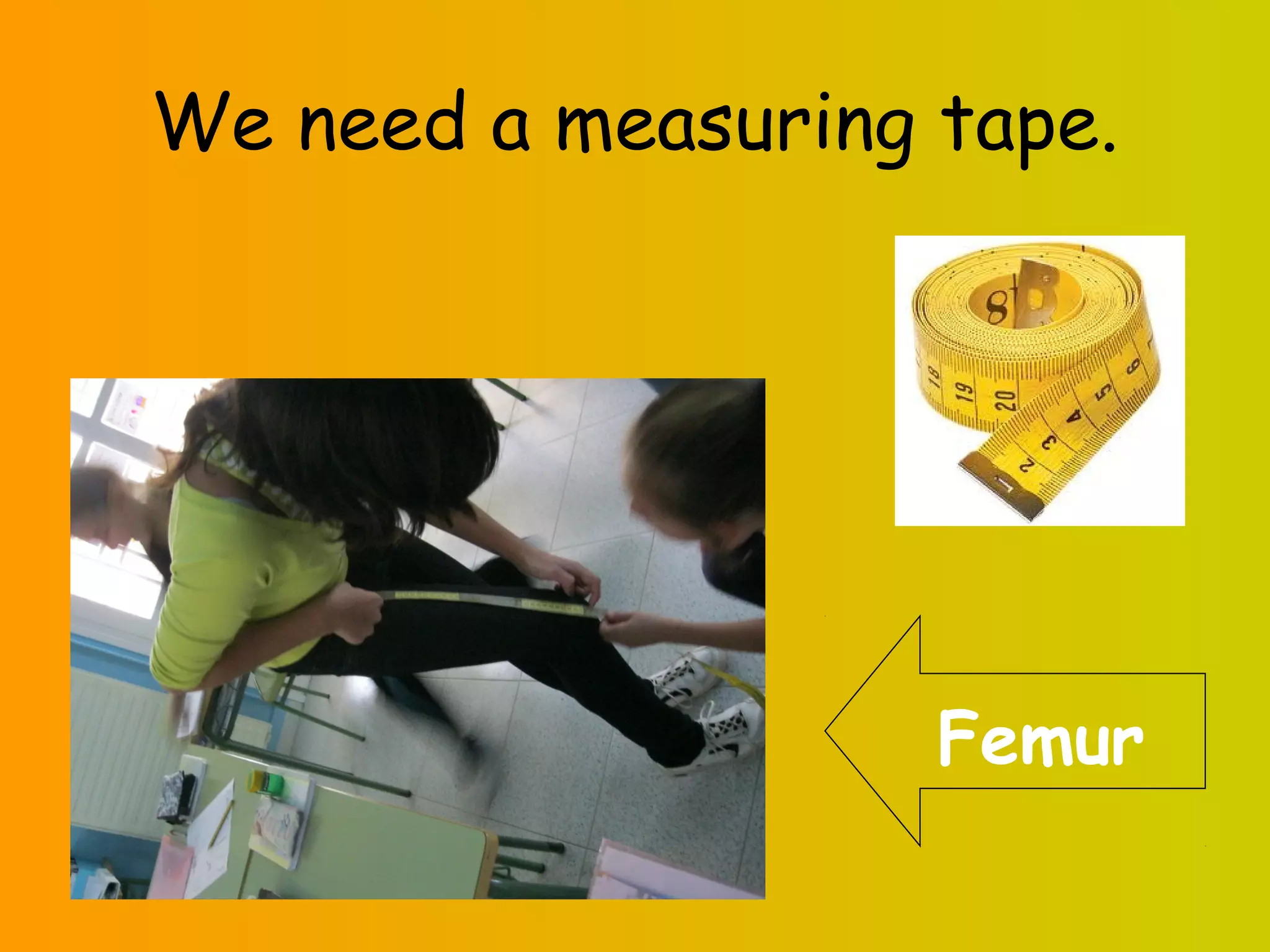 We need a measuring tape.
Femur