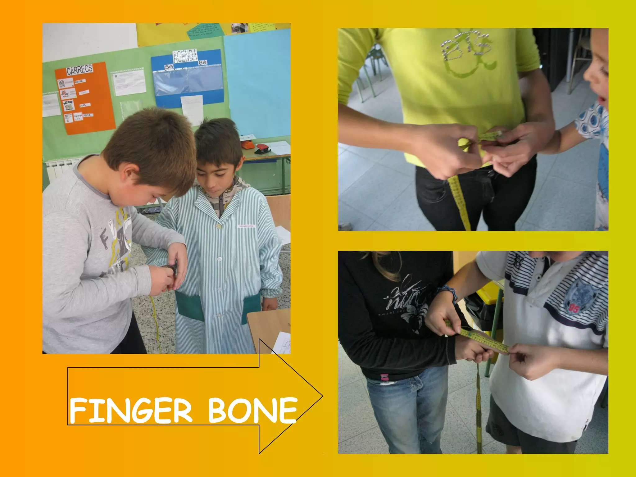 FINGER BONE