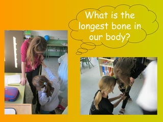 What is the
longest bone in
   our body?
 