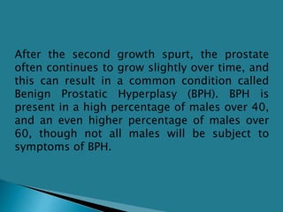 What is the prostate gland? | PPTX