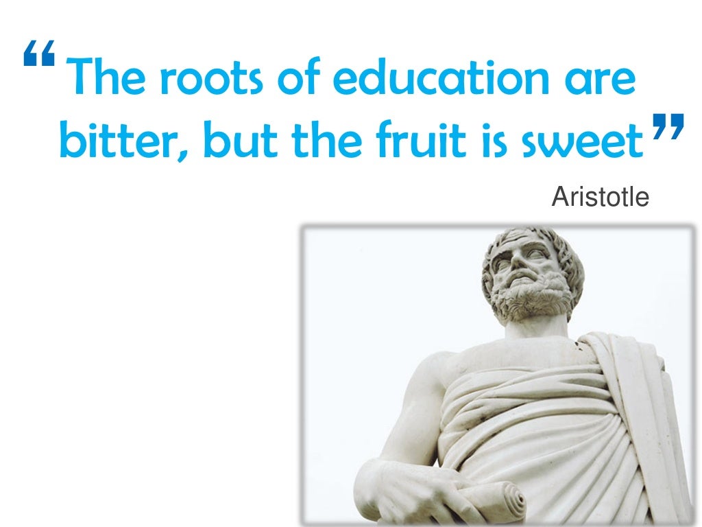 What is the purpose of higher education