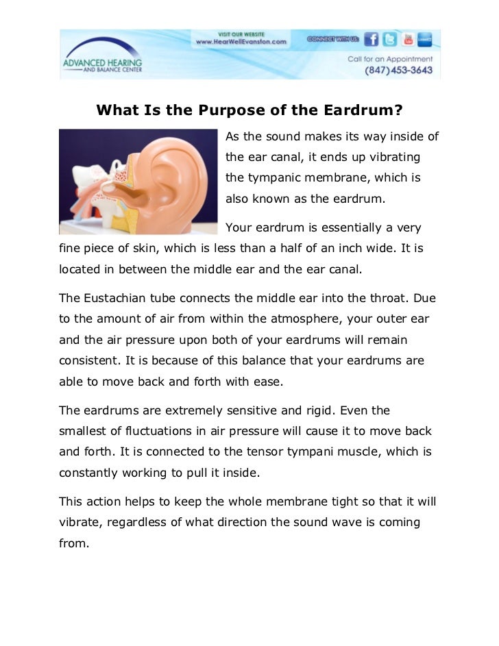 What is the purpose of the eardrum