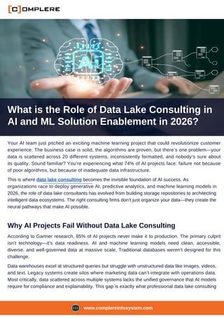 What is the Role of Data Lake Consulting in AI and ML Solution ...