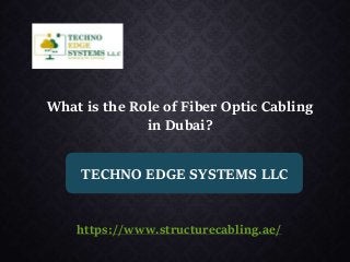 What is the Role of Fiber Optic Cabling
in Dubai?
TECHNO EDGE SYSTEMS LLC
https://www.structurecabling.ae/
 