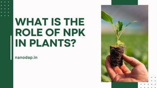 nanodap.in
WHAT IS THE
ROLE OF NPK
IN PLANTS?
 