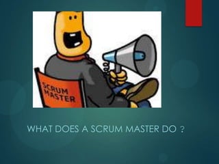 WHAT DOES A SCRUM MASTER DO ?
 