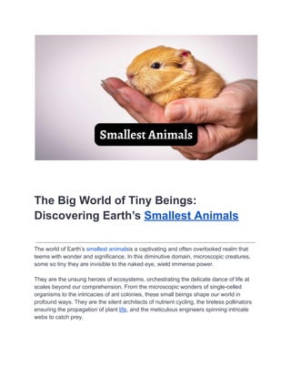 BlogAnimal NewsFascinating Facts About Animals
The Big World of Tiny Beings:
Discovering Earth’s Smallest Animals
The world of Earth’s smallest animalsis a captivating and often overlooked realm that
teems with wonder and significance. In this diminutive domain, microscopic creatures,
some so tiny they are invisible to the naked eye, wield immense power.
They are the unsung heroes of ecosystems, orchestrating the delicate dance of life at
scales beyond our comprehension. From the microscopic wonders of single-celled
organisms to the intricacies of ant colonies, these small beings shape our world in
profound ways. They are the silent architects of nutrient cycling, the tireless pollinators
ensuring the propagation of plant life, and the meticulous engineers spinning intricate
webs to catch prey.
 