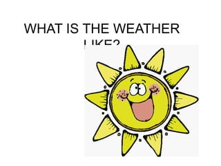 WHAT IS THE WEATHER
        LIKE?
 