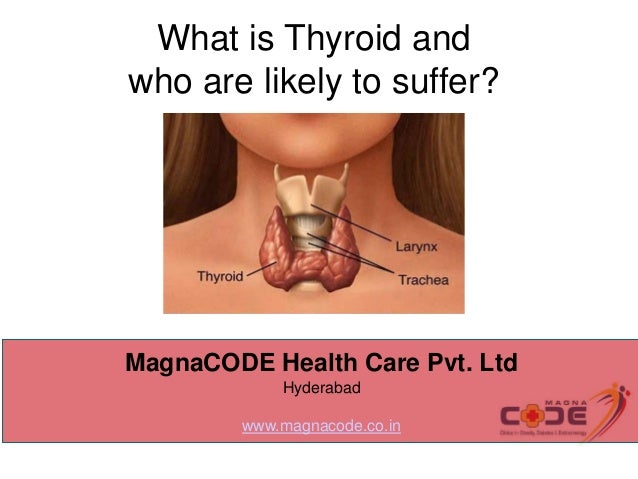 What is Thyroid