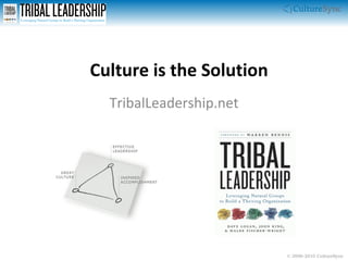 Culture is the Solution TribalLeadership.net 