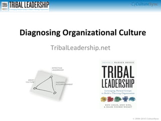 Diagnosing Organizational Culture TribalLeadership.net 