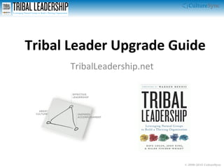 Tribal Leader Upgrade Guide TribalLeadership.net 