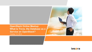 OpenStack Online Meetup: 
What is Trove, the Database as a 
S ervice on OpenStack? 
October 14, 2014 
 