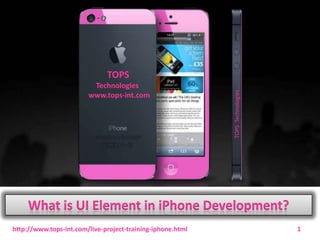 Technologies
www.tops-int.com

TOPS Technologies…..

TOPS

What is UI Element in iPhone Development?
http://www.tops-int.com/live-project-training-iphone.html

1

 