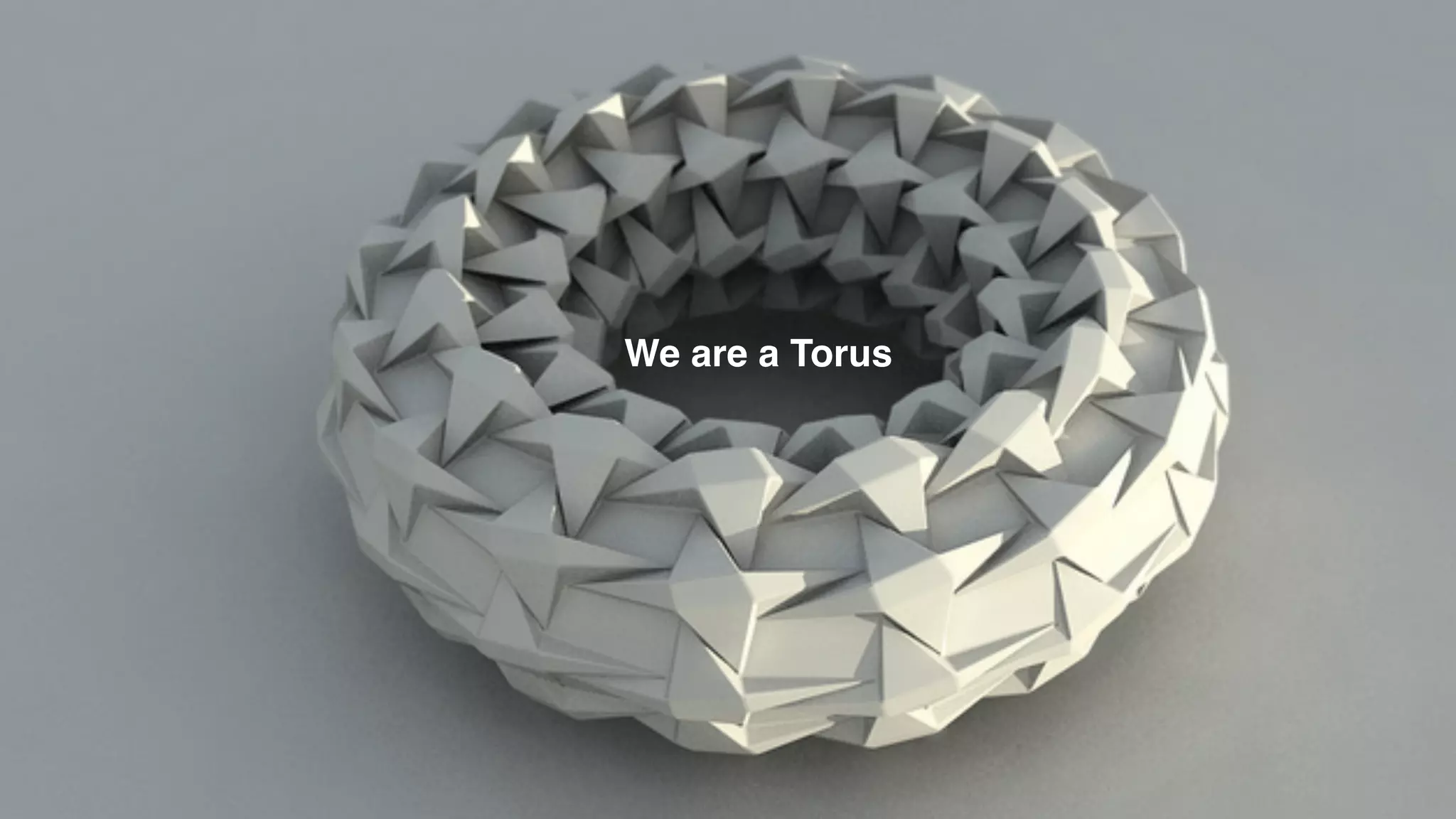 We are a Torus
 