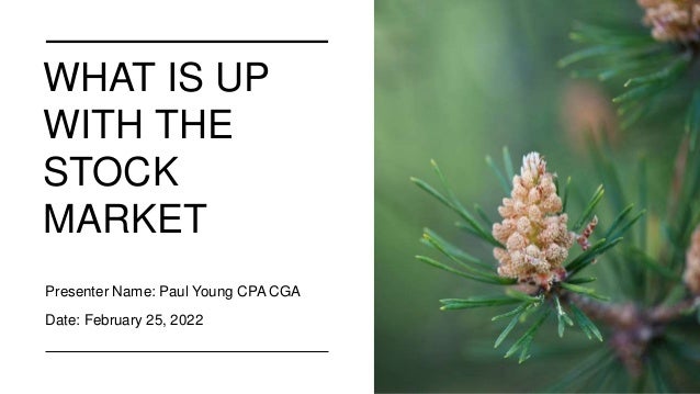 WHAT IS UP
WITH THE
STOCK
MARKET
Presenter Name: Paul Young CPA CGA
Date: February 25, 2022
 