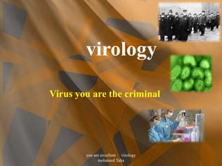 virology 
Virus you are the criminal 
you are excellent virology 
mohamed Taha 
 
