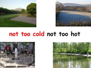 not too cold not too hot

 