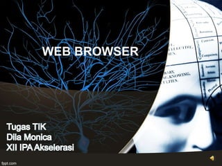 WEB BROWSER
 
