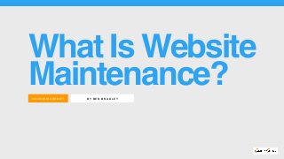 BY BEN BRADLEY@COS MIKC ARROT
What Is Website
Maintenance?
 