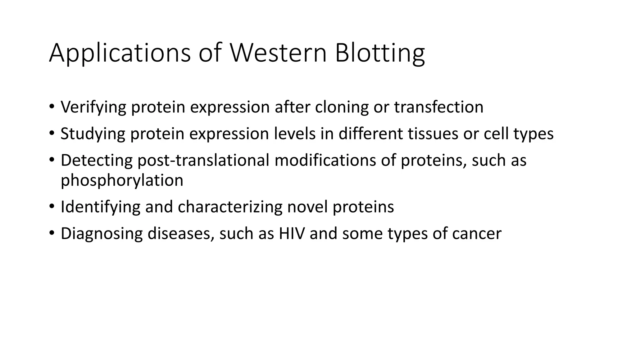 What Is Western Blotting The Principleppt PPT what-is-western-blotting-the-principleppt-ppt