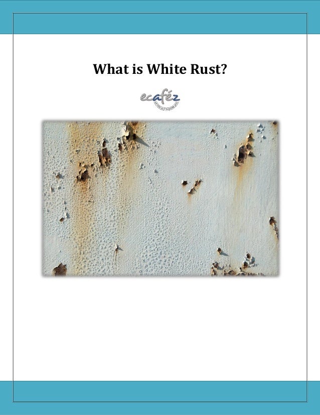 What is white rust
