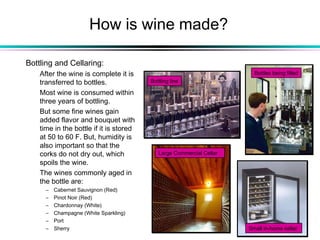 How is wine made?
Bottling and Cellaring:
After the wine is complete it is
transferred to bottles.
Most wine is consumed within
three years of bottling.
But some fine wines gain
added flavor and bouquet with
time in the bottle if it is stored
at 50 to 60 F. But, humidity is
also important so that the
corks do not dry out, which
spoils the wine.
The wines commonly aged in
the bottle are:
– Cabernet Sauvignon (Red)
– Pinot Noir (Red)
– Chardonnay (White)
– Champagne (White Sparkling)
– Port
– Sherry
Bottling line
Bottles being filled
Large Commercial Cellar
Small in-home cellar
 