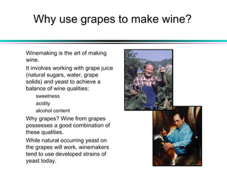 Why use grapes to make wine?
Winemaking is the art of making
wine.
It involves working with grape juice
(natural sugars, water, grape
solids) and yeast to achieve a
balance of wine qualities:
sweetness
acidity
alcohol content
Why grapes? Wine from grapes
possesses a good combination of
these qualities.
While natural occurring yeast on
the grapes will work, winemakers
tend to use developed strains of
yeast today.
 