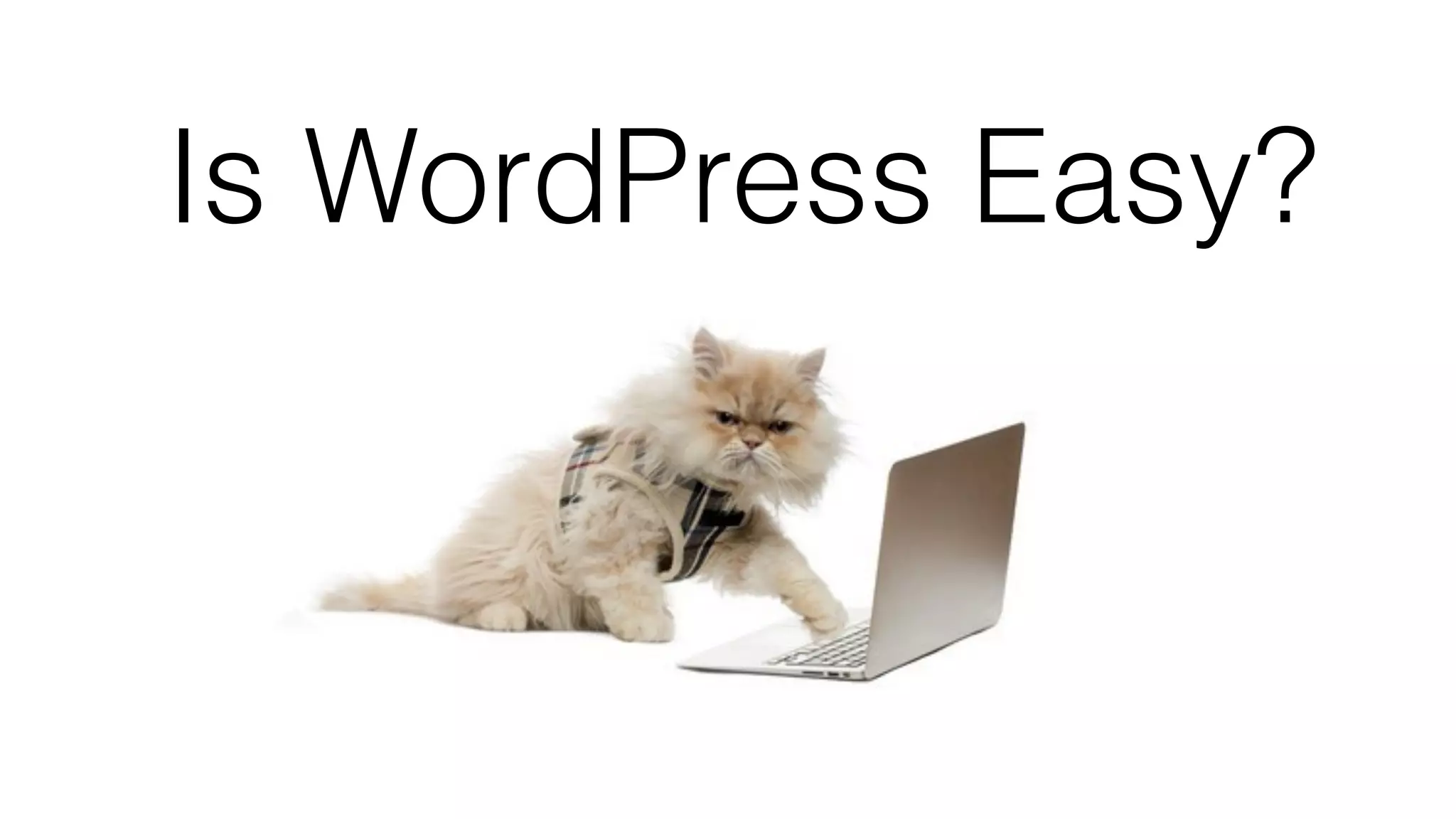 Is WordPress Easy?
 