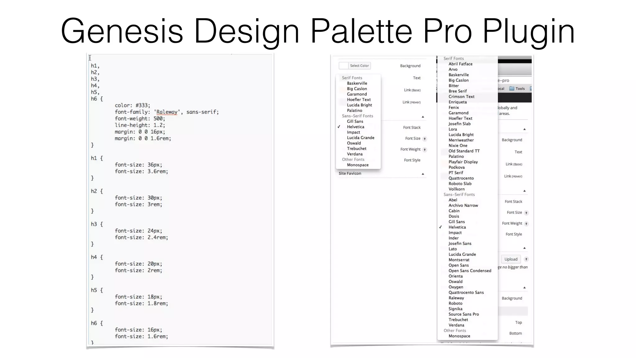 Genesis Design Palette Pro Plugin
 