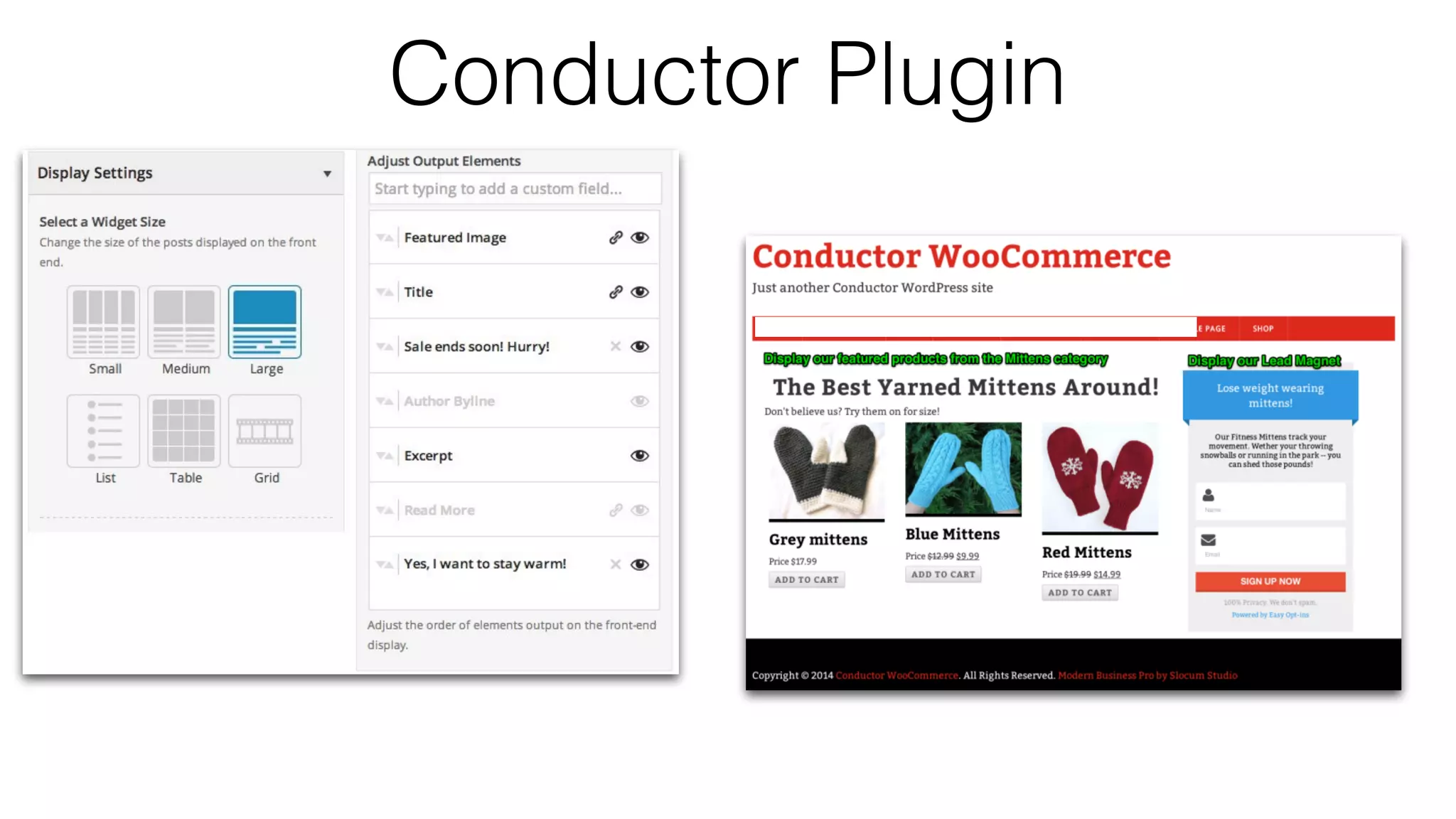 Conductor Plugin
 