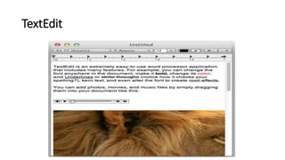 TextEdit
 
