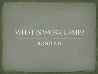 BONDINGWHAT IS WORK CAMP?