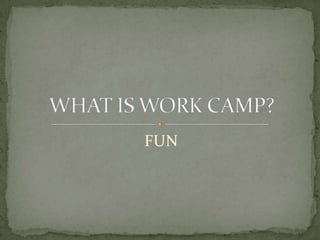 FUNWHAT IS WORK CAMP?