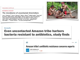 M I C R O B I A L E C O L O G Y
The microbiome of uncontacted Amerindians
Jose C. Clemente,1,2
* Erica C. Pehrsson,3
* Martin J. Blaser,4,5
Kuldip Sandhu,5†
Zhan Gao,5
Bin Wang,3
Magda Magris,6
Glida Hidalgo,6
Monica Contreras,7
Óscar Noya-Alarcón,6
Orlana Lander,8
Jeremy McDonald,9
Mike Cox,9
Jens Walter,10‡
Phaik Lyn Oh,10
Jean F. Ruiz,11
Selena Rodriguez,11
Nan Shen,1
Se Jin Song,12
Jessica Metcalf,12
Rob Knight,12,13§
Gautam Dantas,3,14
M. Gloria Dominguez-Bello5,7,11¶
Most studies of the human microbiome have focused on westernized people with life-style practices that decrease
microbial survival and transmission, or on traditional societies that are currently in transition to westernization. We
characterize the fecal, oral, and skin bacterial microbiome and resistome of members of an isolated Yanomami
Amerindian village with no documented previous contact with Western people. These Yanomami harbor a micro-
biome with the highest diversity of bacteria and genetic functions ever reported in a human group. Despite their
isolation, presumably for >11,000 years since their ancestors arrived in South America, and no known exposure to
antibiotics, they harbor bacteria that carry functional antibiotic resistance (AR) genes, including those that confer
resistance to synthetic antibiotics and are syntenic with mobilization elements. These results suggest that western-
ization significantly affects human microbiome diversity and that functional AR genes appear to be a feature of the
human microbiome even in the absence of exposure to commercial antibiotics. AR genes are likely poised for mo-
bilization and enrichment upon exposure to pharmacological levels of antibiotics. Our findings emphasize the need
for extensive characterization of the function of the microbiome and resistome in remote nonwesternized popula-
tions before globalization of modern practices affects potentially beneficial bacteria harbored in the human body.
INTRODUCTION
Host-microbial interactions are important determinants of host phys-
iology, including immune responses, metabolic homeostasis, and be-
havior (1–4). Microbiota transplantation can transfer phenotypes such
as nutritional status from donor to recipient (5, 6), indicating that al-
tered microbial communities can therefore cause, as well as result from,
altered physiological states. Despite increasing evidence that the micro-
biome has important roles in human health, we do not yet know the
extent to which the human microbiome has changed during the adop-
tion of life-styles associated with westernization. Here, we described the
microbiome from Yanomami subjects in the Amazon with no previous
report of contact with non-Yanomami. The Yanomami were originally
mountain people who were first contacted in the mid-1960s, and who
continue to live seminomadic hunter-gatherer life-styles in the Amazon
jungle. In Venezuela, they inhabit a region protected from development,
and many still inhabit uncharted villages in the vast mountainous
Yanomami territory (7). These remote populations of hunter-gatherers
have life-styles similar to those of our human ancestors, and are unex-
posed to modern practices known to exert antimicrobial effects.
For instance, pharmacologic-dose antibiotic exposure is nearly ubiq-
uitous worldwide, and all human microbiota studied to date, remote or
industrialized, harbor diverse antibiotic resistance (AR) genes (8, 9). Al-
though AR genes have been computationally predicted in ancient oral
microbiota (10), functional resistance from the preantibiotic era re-
mains largely uncharacterized. These subjects from an uncontacted
community therefore represent a unique proxy for the preantibiotic
era human resistome. Here, we characterized the microbiome and resis-
tome of these subjects, and compared them to those of othernon-isolated
populations. Samples of the oral cavity (n = 28), forearm skin (n = 28),
and feces (n = 12) were obtained from 34 of the 54 villagers (table S1) at
thetimeofthefirstmedicalexpeditiontoanisolated,previouslyuncharted
village in the High Orinoco state of Venezuela. The age of the subjects
was between 4 and 50 years, as estimated by Yanomami health workers.
1
Department of Genetics and Genomic Sciences, Icahn School of Medicine at Mount
Sinai, New York, NY 10029, USA. 2
Immunology Institute, Icahn School of Medicine at
Mount Sinai, New York, NY 10029, USA. 3
Center for Genome Sciences & Systems Biology,
Washington University School of Medicine, St. Louis, MO 63108, USA. 4
Laboratory Service,
5
2015 © The Authors, some rights reserved;
exclusive licensee American Association for
the Advancement of Science. Distributed
under a Creative Commons Attribution
NonCommercial License 4.0 (CC BY-NC).
10.1126/sciadv.1500183
R E S E A R C H A R T I C L E
 
