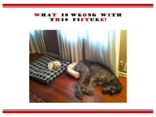 What is wrong with
this picture?
 