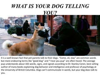 WHAT IS YOUR DOG TELLING
YOU?
It is a well-known fact that pet parents talk to their dogs. “Come, sit, stay” are common words
but more endearing terms like “good dog” and “I love you pup” are often heard. The average
pup understands about 165 words, signs, and signals according to Dr. Stanley Coren, best-selling
author of many books explaining dog behavior and intelligence and professor of psychology at
the University of British Columbia. Dogs can’t communicate in words, but your dog does talk to
you.
 