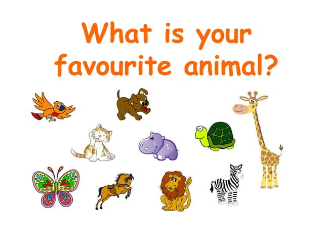 What is your favourite animal1